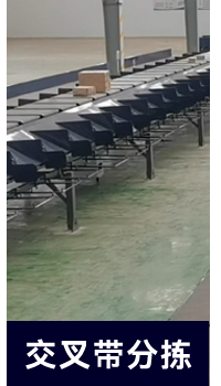 分类_04.png 分类_04.png